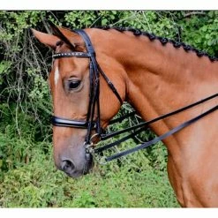 Red Barn By KL Select Cadence Weymouth Dressage Bridle -Farm House Tack Sales Shop KL.Select Cadence.Weymouth