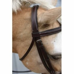 Red Barn By KL Select Icon Hunter Bridle -Farm House Tack Sales Shop KL.Select Icon.Bridle Detail