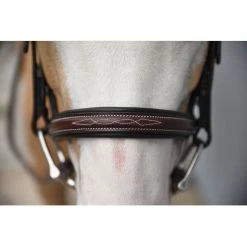 Red Barn By KL Select Icon Hunter Bridle -Farm House Tack Sales Shop KL.Select Icon.Bridle Detail.2