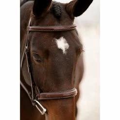 Red Barn By KL Select Tryon Hunter Bridle -Farm House Tack Sales Shop KL.Tryon .Bridle 1