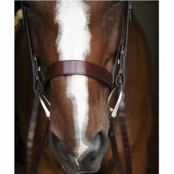 Black Oak By KL Select Foxtrot Hunt Bridle -Farm House Tack Sales Shop KL 1118 FoxtrotHunter2