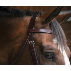Black Oak By KL Select Foxtrot Hunt Bridle -Farm House Tack Sales Shop KL 1118 FoxtrotHunter3