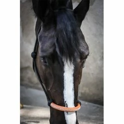 Jump'in Penelope American Rope Halter -Farm House Tack Sales Shop Pen AmericanRope 2