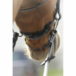 Penelope Point Sellier Bridle -Farm House Tack Sales Shop Pen Sellier 4