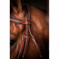 Penelope US Bridle -Farm House Tack Sales Shop Pen US 3