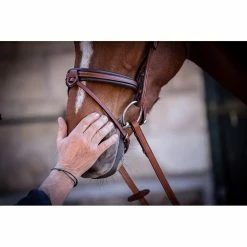 Penelope US Bridle -Farm House Tack Sales Shop Pen US 4
