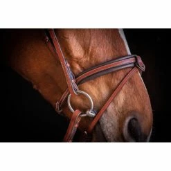 Penelope US Bridle -Farm House Tack Sales Shop Pen Us 2
