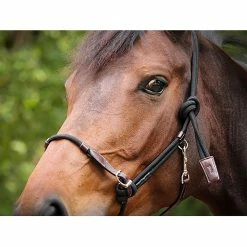 Penelope Ethological Halter 7 Penelope Ethological Halter -Farm House Tack Sales Shop Penelope Ethological.Halter.3