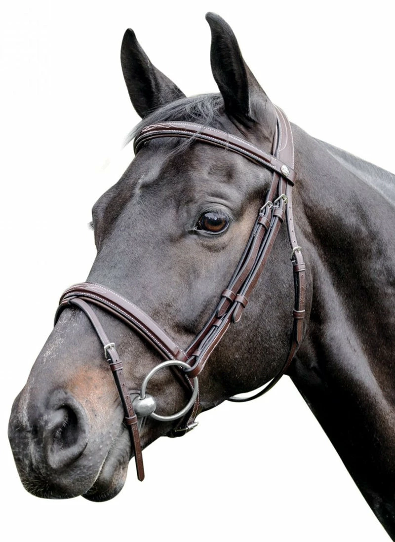 Prestige 3E083 Raised Bridle With Stitching 1 Prestige 3E083 Raised Bridle With Stitching