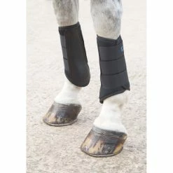 Arma Neoprene Brushing Boots -Farm House Tack Sales Shop Shires 170A ArmaNeoBrushingBootBlck