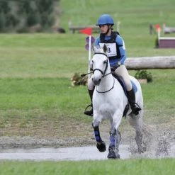 Arma Neoprene Brushing Boots -Farm House Tack Sales Shop Shires 170A ArmaNeoBrushingBootBlck2