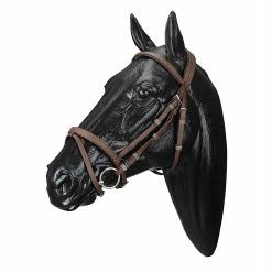 Wintec English Bridle With Flash Noseband -Farm House Tack Sales Shop WABRICBRN