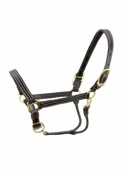 Walsh Kentucky Halter