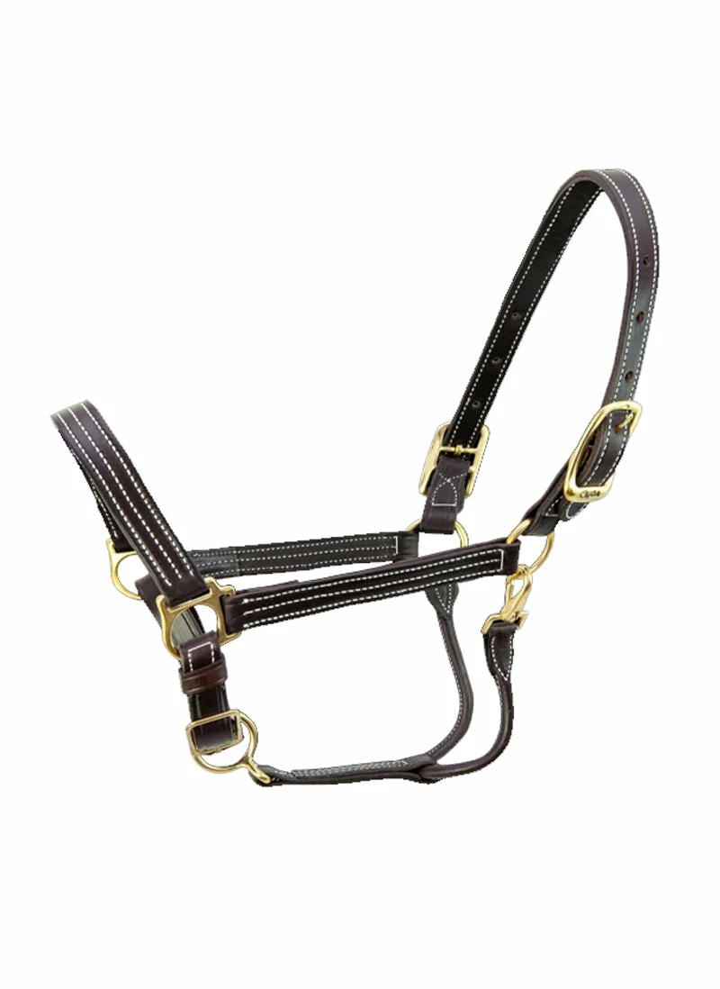 Walsh Kentucky Halter 1 Walsh Kentucky Halter