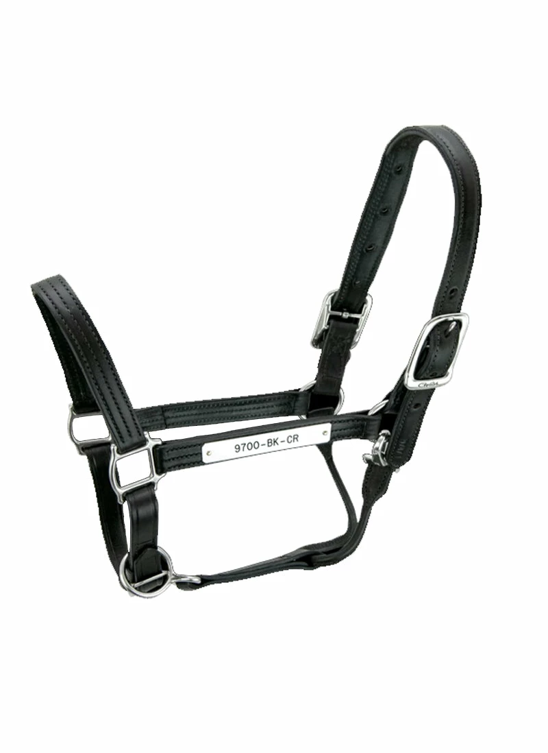 Walsh Kentucky Halter 2 Walsh Kentucky Halter - Image 2