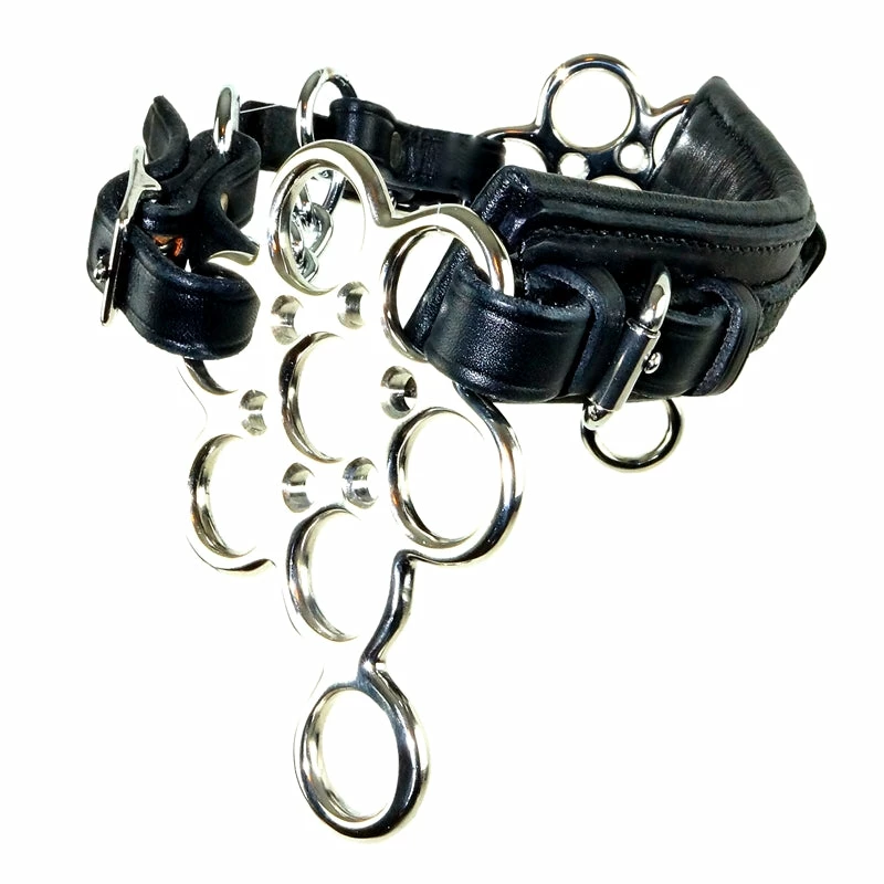Nunn Finer Multiple Choice Hackamore 1 Nunn Finer Multiple Choice Hackamore