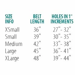 Perri's Padded Leather Belt -Farm House Tack Sales Shop belt size chart 00294.1588165726.1280.1280