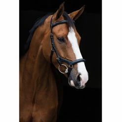 Rambo Micklem Deluxe Competition Bridle -Farm House Tack Sales Shop black2 18961.1590614970.1280.1280