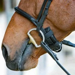 Acavallo Gel Nose Or Poll Guard -Farm House Tack Sales Shop black4 02880.1588788861.1280.1280