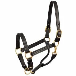 Perri's 1" Leather Show Halter