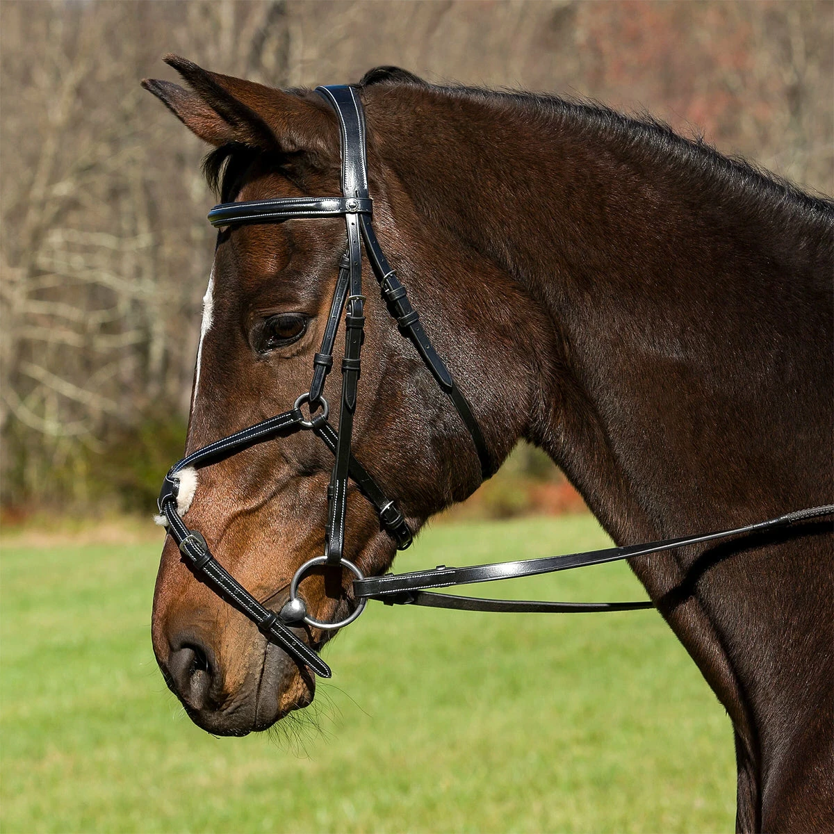 HDR Pro Mono Crown Raised Figure Eight Bridle With Rubber Reins 2 HDR Pro Mono Crown Raised Figure Eight Bridle With Rubber Reins - Image 2