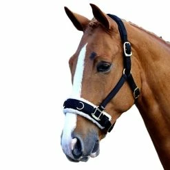 Fleece Lined Lunge Cavesson