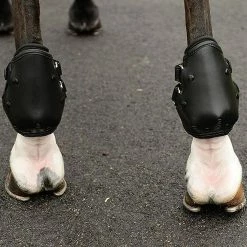 EquiFit AmpTeq Hind Boot -Farm House Tack Sales Shop black trim4 01302.1590074384.1280.1280
