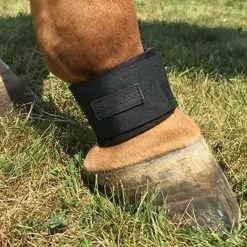 Equifit Neoprene Pastern Band Velcro Closure -Farm House Tack Sales Shop boot2 35441.1589905996.1280.1280