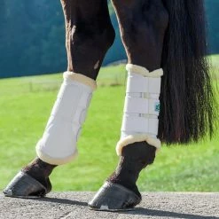 USG Dressage Boots