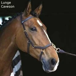 Horseware Rambo Micklem Multibridle -Farm House Tack Sales Shop bridle16