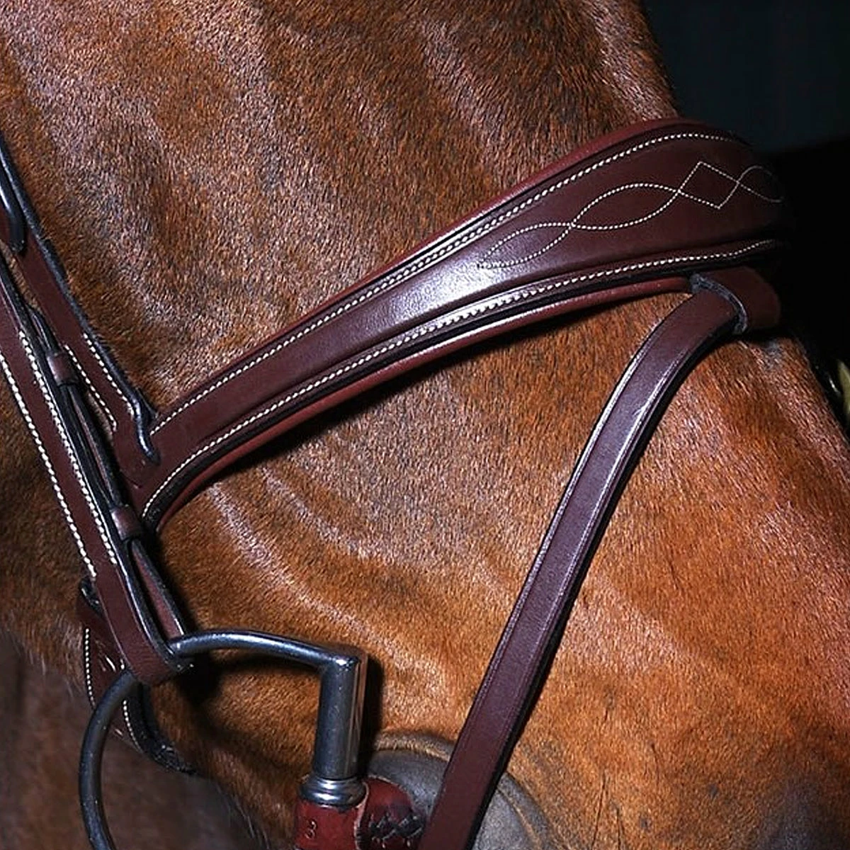 Dy'on Anatomic Flash Noseband Bridle - D Collection 4 Dy'on Anatomic Flash Noseband Bridle - D Collection - Image 4
