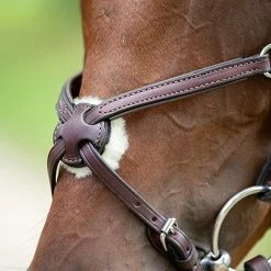 Nunn Finer Figure Eight Bridle -Farm House Tack Sales Shop bridle3 46165870 fad2 409e ae3d ca7da5e4cdc6