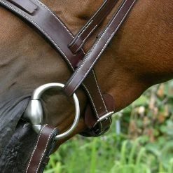 Dy'on Fancy Stitch Wide Noseband Bridle 9 Dy'on Fancy Stitch Wide Noseband Bridle -Farm House Tack Sales Shop bridle4 5bfb0366 19a2 4a05 ab7e fe08591f5851