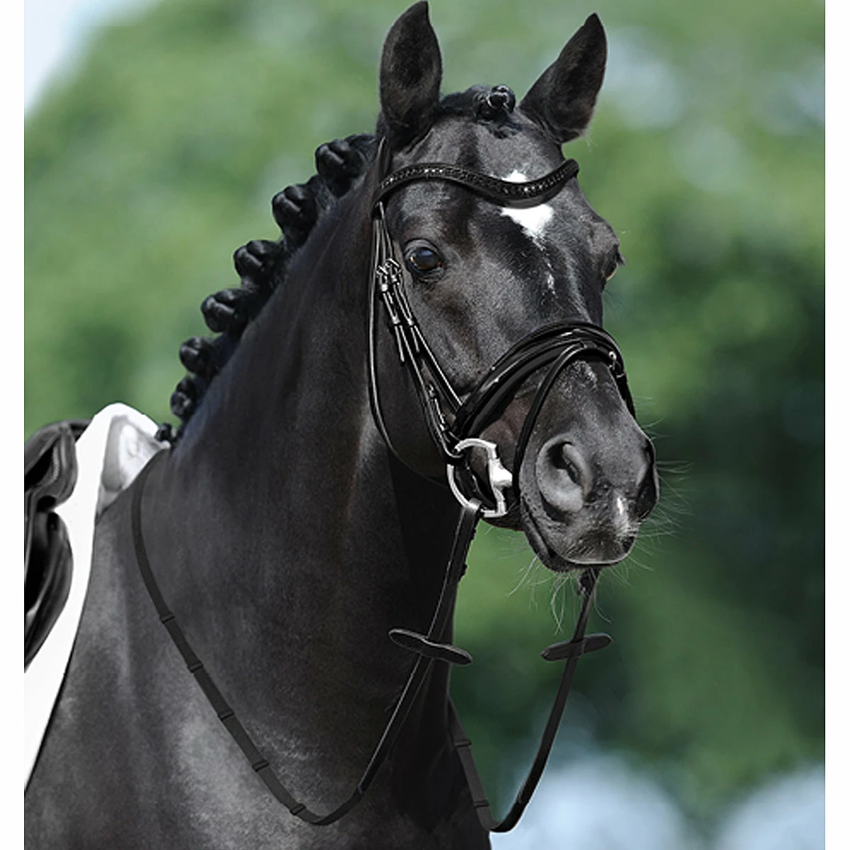 Passier Apollo Snaffle Bridle 1 Passier Apollo Snaffle Bridle