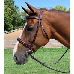 KL Select Italia Tuscany Hunter Bridle