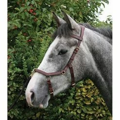 Horseware Rambo Micklem Multibridle -Farm House Tack Sales Shop bridle6 176ffa29 d9a4 474f 9cc0 dc82ba1c9ad6