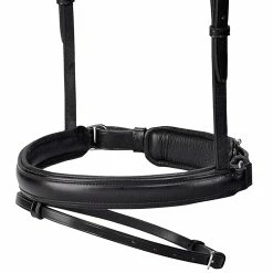 Passier Fortuna Snaffle Bridle -Farm House Tack Sales Shop bridle6 70799.1589504216.1280.1280