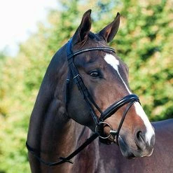 Passier Fortuna Snaffle Bridle -Farm House Tack Sales Shop bridle7 92799.1589504218.1280.1280
