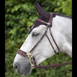 Dyon Hackamore Bridle