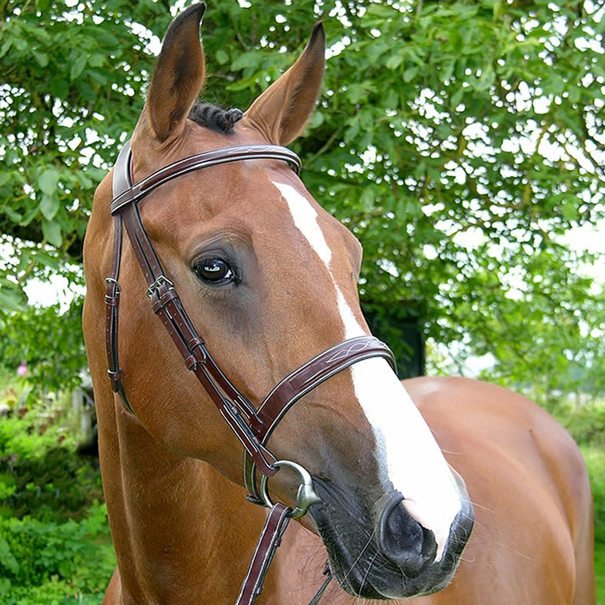 Dy'on Fancy Stitch Wide Noseband Bridle 2 Dy'on Fancy Stitch Wide Noseband Bridle - Image 2