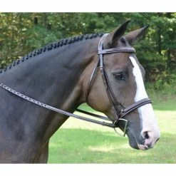 Red Barn By KL Select Spirit Hunter Bridle
