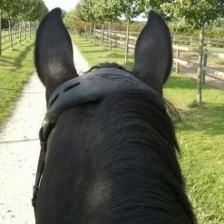 Acavallo Gel Nose Or Poll Guard -Farm House Tack Sales Shop brown4correct 11551.1588788861.1280.1280