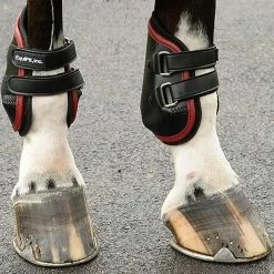 EquiFit AmpTeq Hind Boot -Farm House Tack Sales Shop brown trim3 41085.1590074384.1280.1280