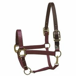 Perri's Premium Nylon Safety Halter -Farm House Tack Sales Shop burgundy 54542.1588257173.1280.1280