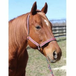 Tuffrider Nylon Breakaway Halter And Lead -Farm House Tack Sales Shop grey red2 05503.1587406680.1280.1280