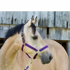 Perri's Premium Nylon Safety Halter -Farm House Tack Sales Shop halter2 94567.1588257175.1280.1280