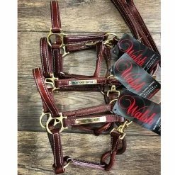 Walsh Showman Halter -Farm House Tack Sales Shop halter2 fa638c65 9196 4b83 b725 af4a0ee4a7d0