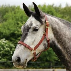 Walsh British Halter -Farm House Tack Sales Shop halter3