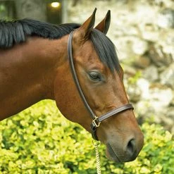 Perri's Grooming Halter -Farm House Tack Sales Shop halter3 61231.1588150038.1280.1280