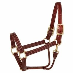Walsh British Halter -Farm House Tack Sales Shop halter 6151eb20 927d 4a79 86ce fb6feb52a3eb